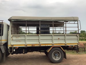 กระบะ คอกพร้อมหลังคา ยาว 4.4 เมตร กว้าง 2.45 เมตร คัดสี่ 86 เซนต์ ราคาถูก