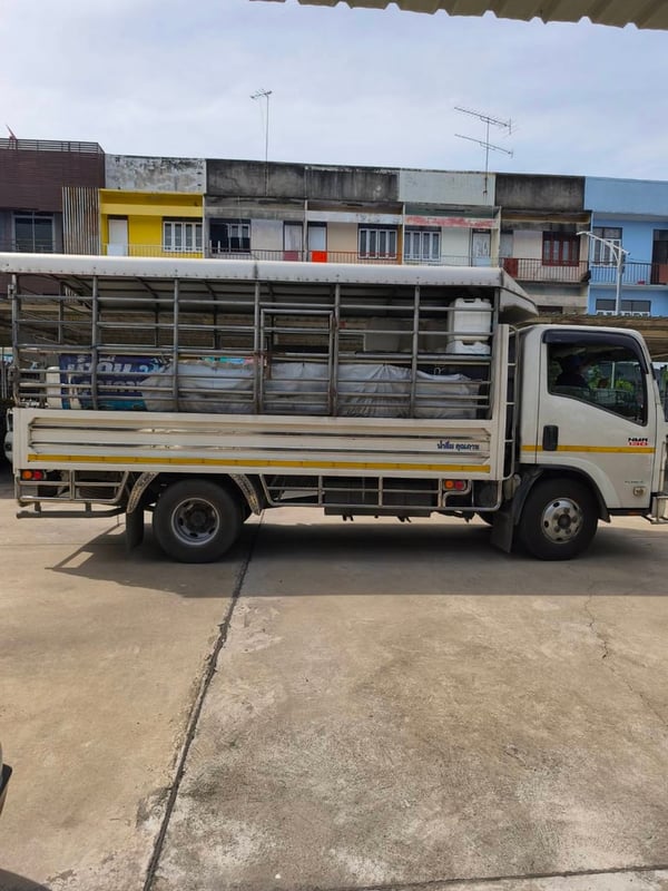 ISUZU NMR 130แรงม้า รถบรรทุก 6ล้อ กระบะสะแตนเลสคอกหลังคา ปี2019 เลขไมล์น้อยกว่า 500,000 กม.